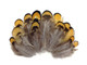 Multicolored natural craft feathers