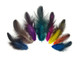  Colorful Mix Hen Saddle Half Bronze Feathers 0.10 Oz. 