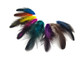 Multicolor shiny wispy feathers