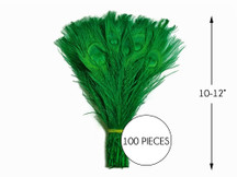 100 Pieces – Kelly Green Bleached & Dyed Peacock Tail Eye Wholesale Feathers (Bulk) 10-12” Long 