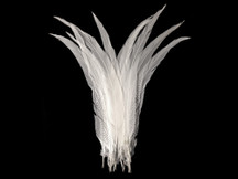25-30" Natural Silver Pheasant Tail Super Long Feathers (Bulk)