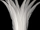 Light grey white slim pointy pheasant craft feathers