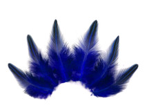 10 Pieces - Royal Blue Jungle Cock Loose Plumage Feather