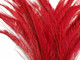 Red Bleached Peacock Swords Cut Feathers