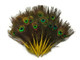 Yellow dyed natural colored small shiny peacock feathers