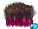 Hot Pink Mini Natural Peacock Tail Body Feathers With Eyes
