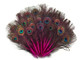 Magenta and natural blue and green small peacock eye feathers