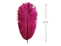 10 Pieces - 14-17"  Magenta Ostrich Dyed Drab Body Feathers