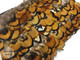 Strip of golden yellow and brown fluffy pheasant feathers