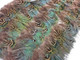 Natural color patterned small wispy feathers