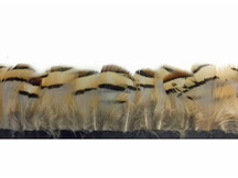 Brown and tan colored small chicken feathers
