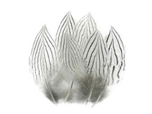 1/8 Lb. - Natural Silver Pheasant Body Plumage Wholesale Feathers (Bulk)