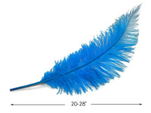 10 Pieces - 20-28" Turquoise Blue Ostrich Spads Large Feathers