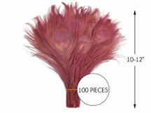 100 Pieces - Taupe Bleached And Dyed Peacock Tail Eye Wholesale Feathers (Bulk)