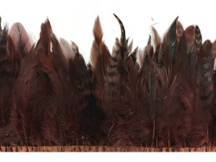 Dark brown fluffy small strip of feathers