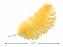 10 Pieces -  12-16" Golden Yellow Dyed Ostrich Tail Fancy Feathers