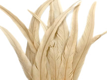 2.5 Inch Strip - 14-16" Ivory Strung Natural Bleach Coque Tails Feathers