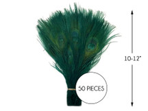 50 Pieces – Hunter Green Bleached & Dyed Peacock Tail Eye Wholesale Feathers (Bulk) 10-12” Long 