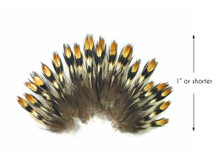 10 Pieces - Mini Natural Gold Jungle Cock Eye Loose Feather