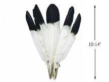 1/4 Lb - Black Tipped Turkey Pointers 'Imitation Eagle' Wing Wholesale Feathers (Bulk)