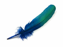 6 Pieces - Blue Green Ombre Turkey Round Tom Wing Quill Feathers