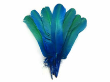 1/4 Lb - Blue Green Ombre Turkey Rounds Tom Wing Quill Wholesale Feathers (Bulk)
