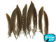 Natural patterned brown and black feathers