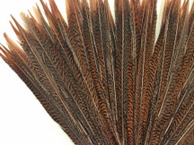 Extra long natural patterned feathers