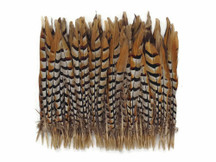 Patterned large brown and red and yellow feathers for crafts