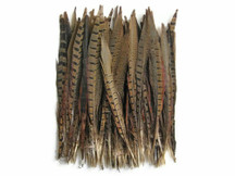 Stiff brown and red colored feathers for crafts, centerpieces