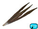 12-14" Natural Ringneck Pheasant Tail Wholesale Feathers (Bulk)