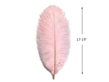 10 Pieces - 17-19" Baby Pink Large Bleached & Dyed Ostrich Drabs Body Feathers