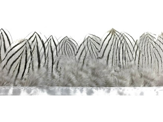 Black and white stripe short feather strip for sewing 