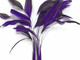 Slim strip of purple feathers