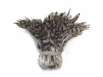 White and gray patterned feathers