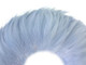 Baby blue soft wispy small rooster feathers for crafts