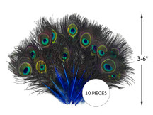 10 Pieces - Royal Blue Mini Natural Peacock Tail Body Feathers With Eyes
