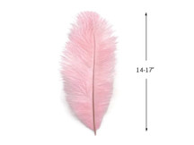 10 Pieces - 14-17" Baby Pink Ostrich Dyed Drab Body Feathers