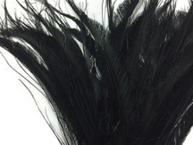Black dyed dark wispy stiff long trimmed peacock feathers