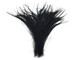 Dark black dyed wispy trimmed peacock feathers long