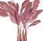 Soft pink rooster feathers 
