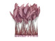 Taupe Stripped Coque Tail Feathers Wholesale (Bulk)