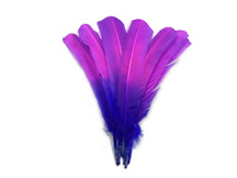 1/4 Lb - Pink Purple Ombre Turkey Rounds Tom Wing Quill Wholesale Feathers (Bulk)