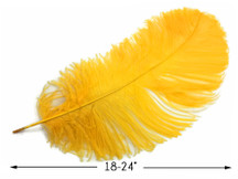 10 Pieces - 18-24" Golden Yellow Large Prime Grade Ostrich Wing Plume Centerpiece Feathers