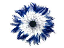 1 Piece - Navy Blue Whole Beaded Pinwheel Stripped Rooster Hackle Feather Plates