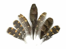 Rare rooster feathers natural colored brown feathers for costumes, decoration, floral, wedding.