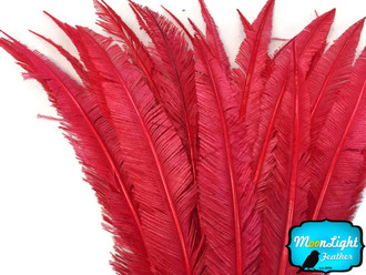  Red Long Ostrich Nandu Trimmed Feathers