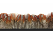 Brown and red spotted and dotted natural rare pheasant feathers for crafts, sewing, and decoration.
