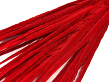 20-22" Red Ringneck Long Ringneck Pheasant Tail Wholesale Feathers (Bulk)