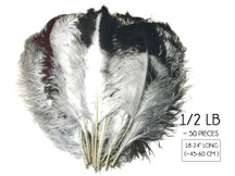 1/2 Lb. - 18-24" Natural Chinchilla Large Ostrich Wing Plume Wholesale Feathers (Bulk)